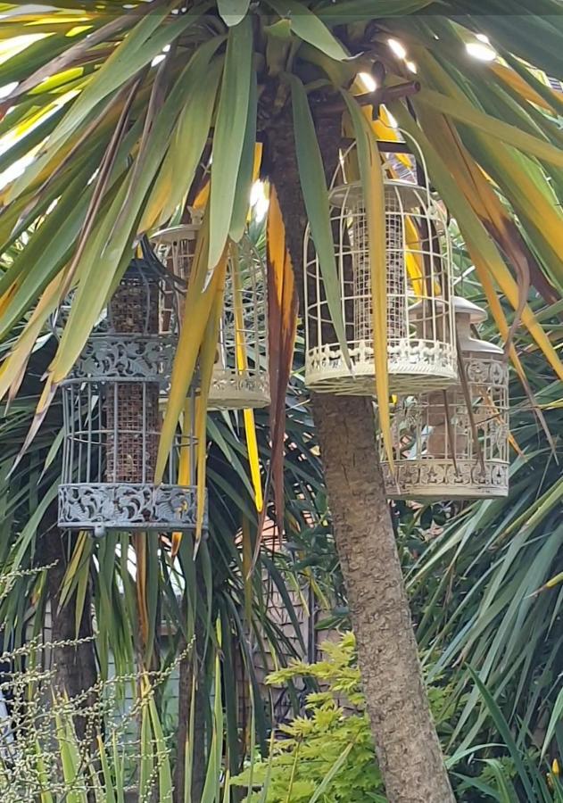 Tropical Garden Oasis Rooms Birmingham Exteriör bild
