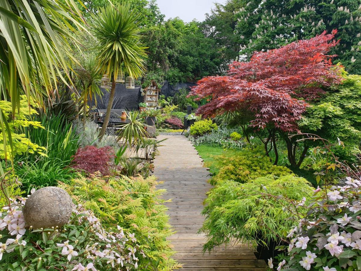 Tropical Garden Oasis Rooms Birmingham Exteriör bild