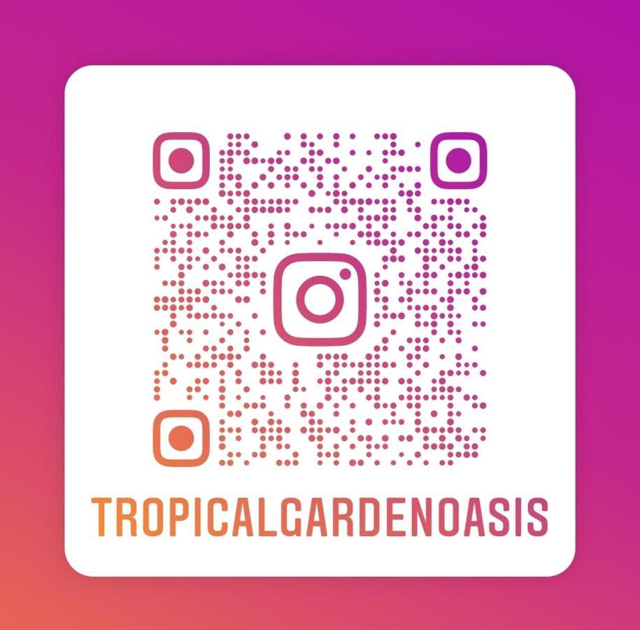 Tropical Garden Oasis Rooms Birmingham Exteriör bild