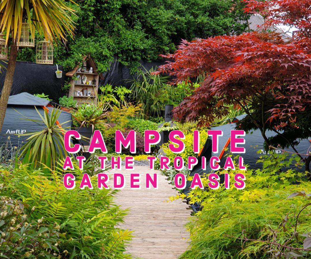 Tropical Garden Oasis Rooms Birmingham Rum bild